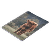 Hoogland koe kalf herfstgrasveld notitieboek (Linkerzijde)