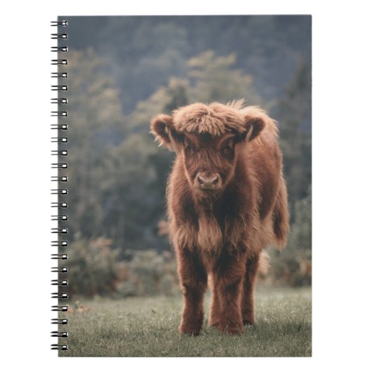 Hoogland koe kalf herfstgrasveld notitieboek (Voorkant)