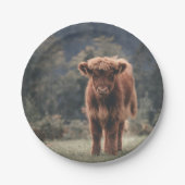 Hoogland koe kalf herfstgrasveld papieren bordje (Voorkant)