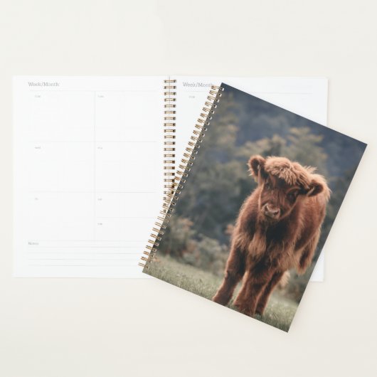 Hoogland koe kalf herfstgrasveld planner (Display)