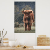 Hoogland koe kalf herfstgrasveld poster (Keuken)