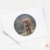 Hoogland koe kalf herfstgrasveld ronde sticker (Envelop)