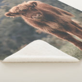 Hoogland koe kalf herfstgrasveld sherpa deken (3/4)