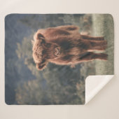 Hoogland koe kalf herfstgrasveld sherpa deken (Voorkant (horizontaal))