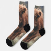 Hoogland koe kalf herfstgrasveld sokken (Links)