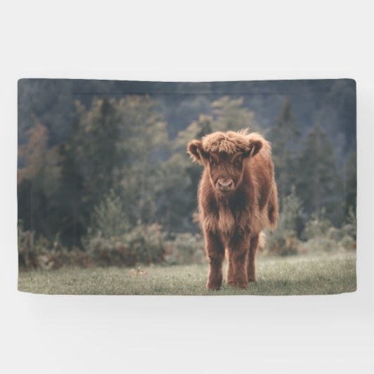 Hoogland koe kalf herfstgrasveld spandoek (Horizontaal)