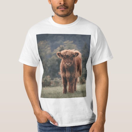 Hoogland koe kalf herfstgrasveld t-shirt (Voorkant)