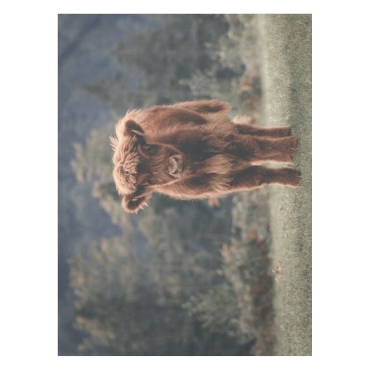 Hoogland koe kalf herfstgrasveld tafelkleed (Voorkant)