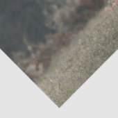 Hoogland koe kalf herfstgrasveld tissuepapier (Detail)