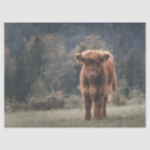 Hoogland koe kalf herfstgrasveld tissuepapier (Voorkant)