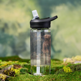 Hoogland koe kalf herfstgrasveld waterfles