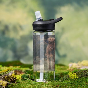 Hoogland koe kalf herfstgrasveld waterfles