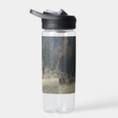 Hoogland koe kalf herfstgrasveld waterfles (Rechts)