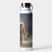 Hoogland koe kalf herfstgrasveld waterfles (Achterkant)