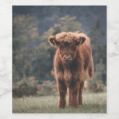 Hoogland koe kalf herfstgrasveld wijn etiket (Enkel label)