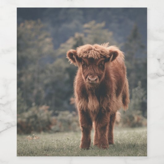 Hoogland koe kalf herfstgrasveld wijn etiket (Enkel label)