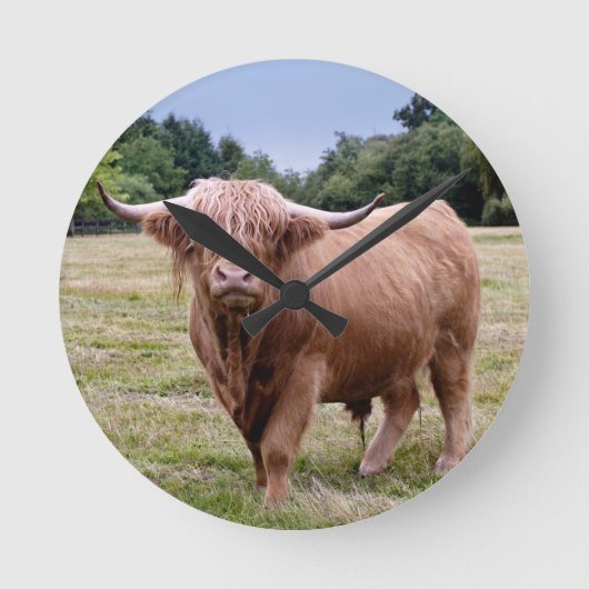 Hoogland Koe Klok (Voorkant)