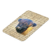 Hoogland koe magneet (Linkerzijde)