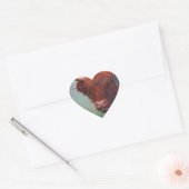 Hoogland Koe met een draadhek Hart Sticker (Envelop)