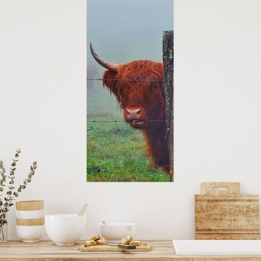 Hoogland Koe met een draadhek Poster (Keuken)