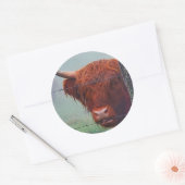 Hoogland Koe met een draadhek Ronde Sticker (Envelop)