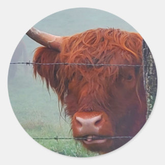 Hoogland Koe met een draadhek Ronde Sticker