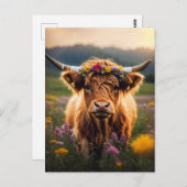 Hoogland Koe met kleurrijke bloemkroon Briefkaart (Voorkant / Achterkant)