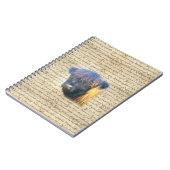 Hoogland koe notitieboek (Linkerzijde)