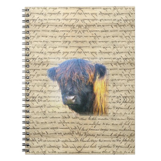 Hoogland koe notitieboek (Voorkant)