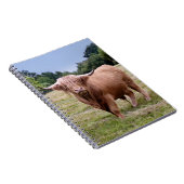 Hoogland Koe Notitieboek (Rechterzijde)