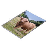 Hoogland Koe Notitieboek (Linkerzijde)