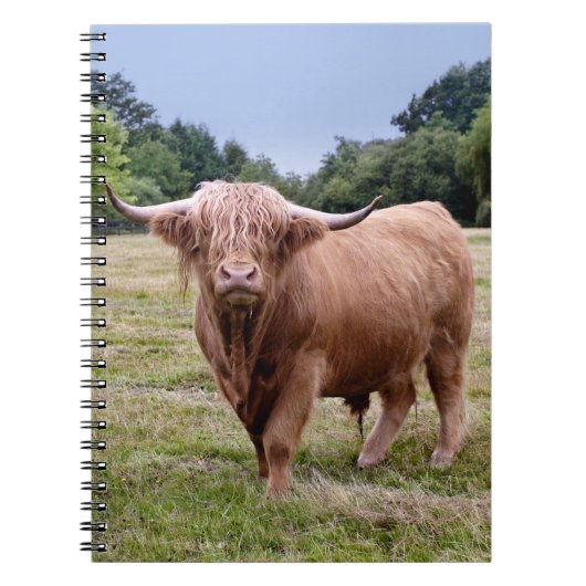 Hoogland Koe Notitieboek (Voorkant)