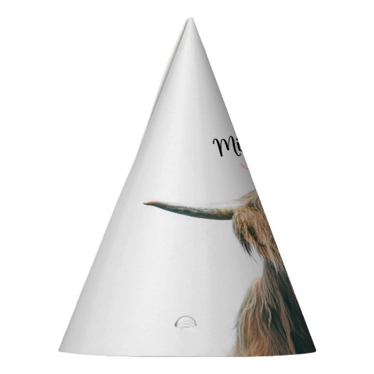 Hoogland koe portret eigen naam initiaal monogram feesthoedjes (Links)