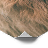 Hoogland koe portret eigen naam initiaal monogram poster (Hoek)