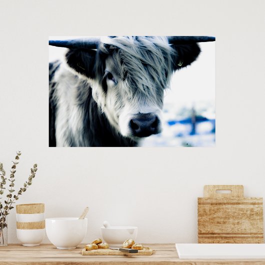 Hoogland Koe Poster (Keuken)