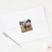 Hoogland Koe Sticker (Envelop)
