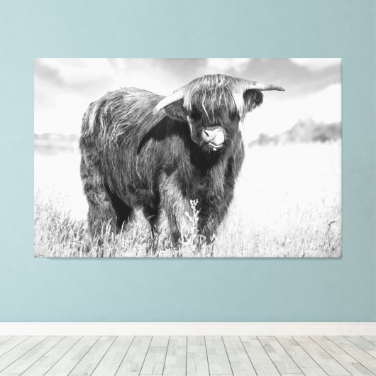 Hoogland koe tong zwart-wit canvas afdruk (Insitu (Houten vloer))