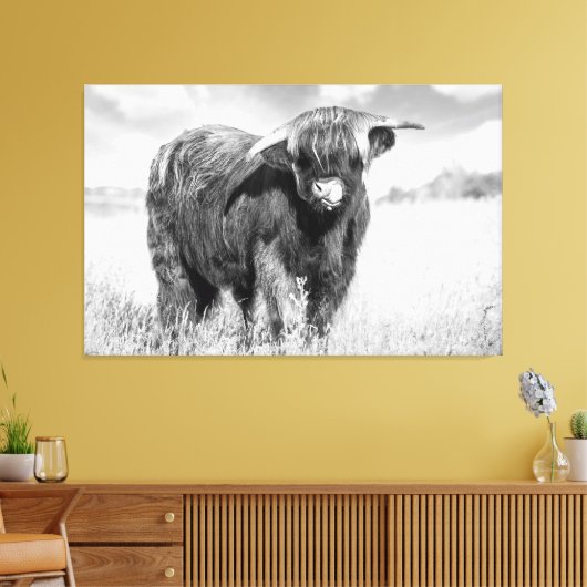 Hoogland koe tong zwart-wit canvas afdruk (Insitu (Woonkamer))