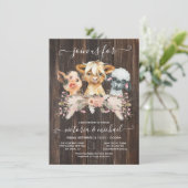 Hoogland Koe, Varkens, Baby shower van lammeren Wi Kaart (Staand voorkant)