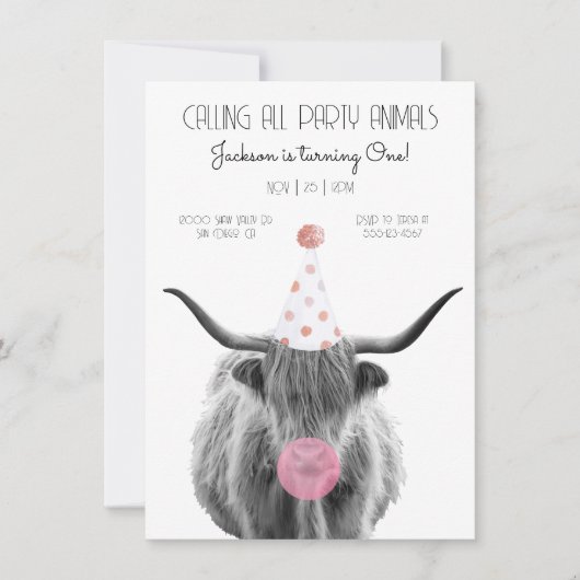 Hoogland Koe zwarte en witte verjaardag Kaart (Voorkant)