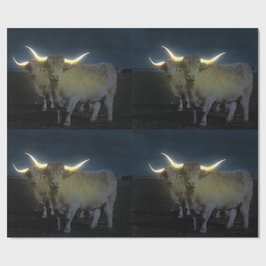 Hoogland Koeien die in de donker stromen, schitter Cadeaupapier (Vlak)