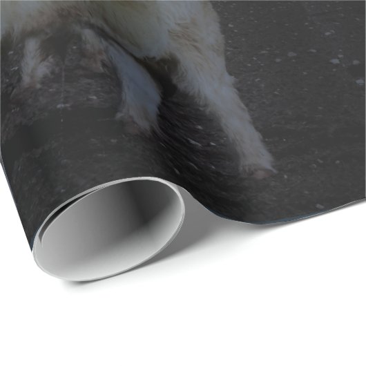 Hoogland Koeien die in de donker stromen, schitter Cadeaupapier (Rol Hoek)