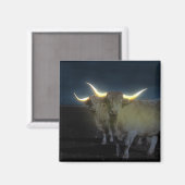 Hoogland Koeien in de donker, Fridge Magnet (Voorkant / Achterkant)