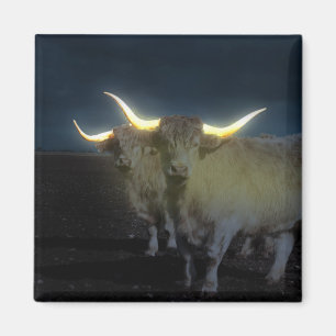Hoogland Koeien in de donker, Fridge Magnet