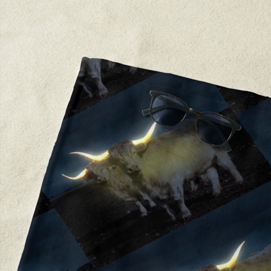 Hoogland Koeien in de donkere, dikke handdoek (In situ)