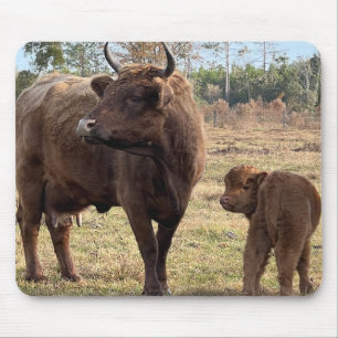 Hoogland Koeien Mama en Baby Kalf Draaien Hoofden Muismat