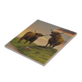 Hoogland Koeien op zonsondergang Tegeltje (Zijkant)