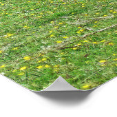 Hoogland Koeien Poster (Hoek)