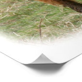 Hoogland Rundvee 9Y316D-017 Poster (Hoek)