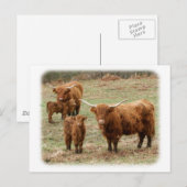 Hoogland Rundvee 9Y316D-055 Briefkaart (Voorkant / Achterkant)